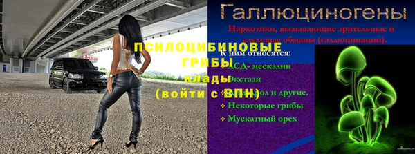 винт Алексин