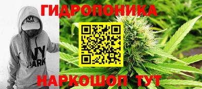 дурь Дубна