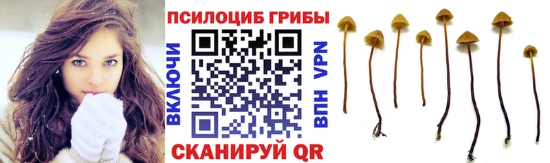 Галлюциногенные грибы Magic Shrooms  Нижний Тагил 