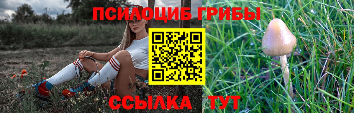 Нижний Тагил  Галлюциногенные грибы MAGIC MUSHROOMS  Галлюциногенные грибы мухоморы  купить наркоту  Вход с VPN 
