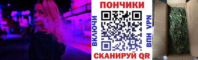 Бошки марихуана SATIVA & INDICA  где найти наркотики  Нижний Тагил 